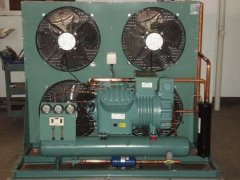 ���մ�W(xu��)������ɹ�����